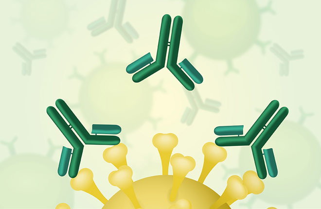 Anti-SARS-CoV-2-ELISA von EUROIMMUN